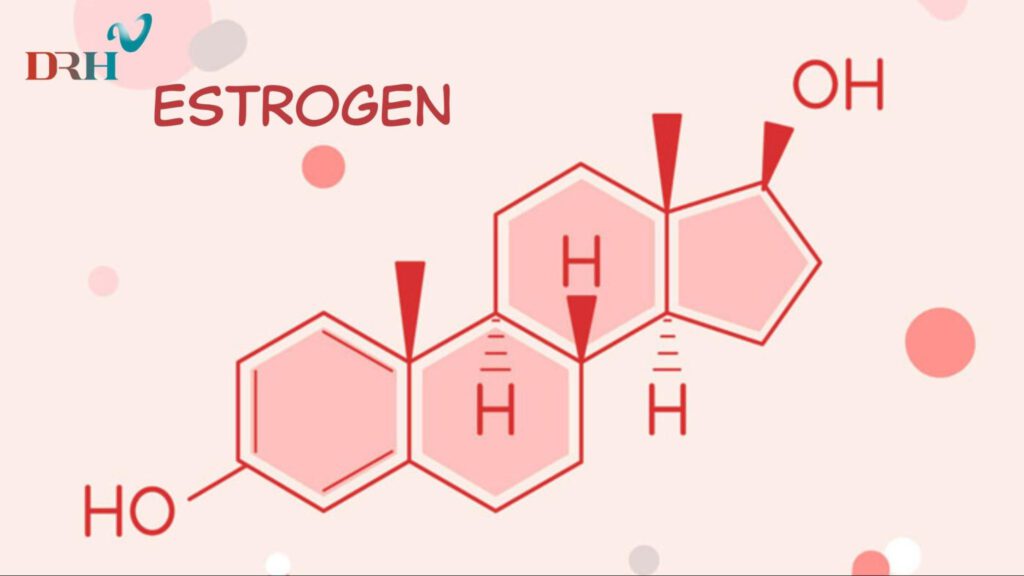 hormone-estrogen-co-vai-tro-quan-trong-doi-voi-nu