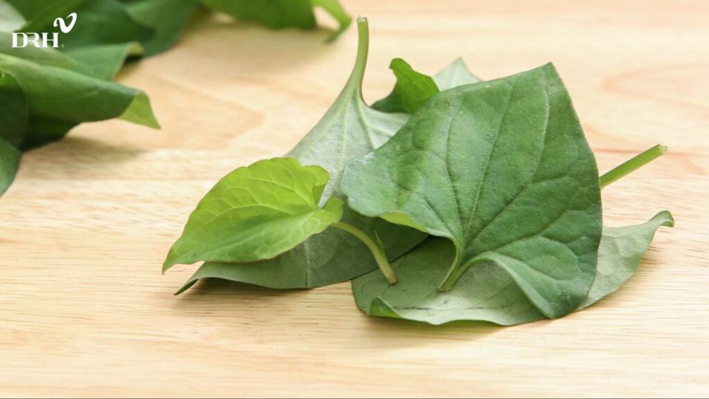 rau-diep-ca-lam-tang-cuong-suc-de-khang-cho-da