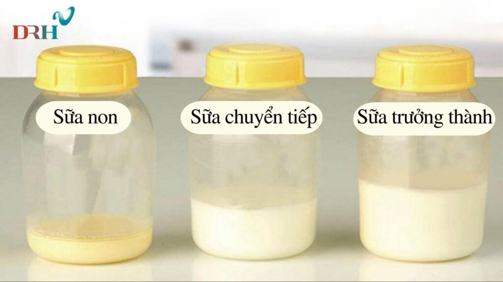 sua-me-giup-tang-cuong-do-dan-hoi-da