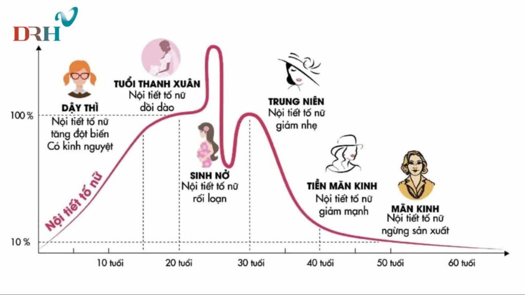 bieu-do-thay-doi-noi-tiet-to-nu-theo-do-tuoi
