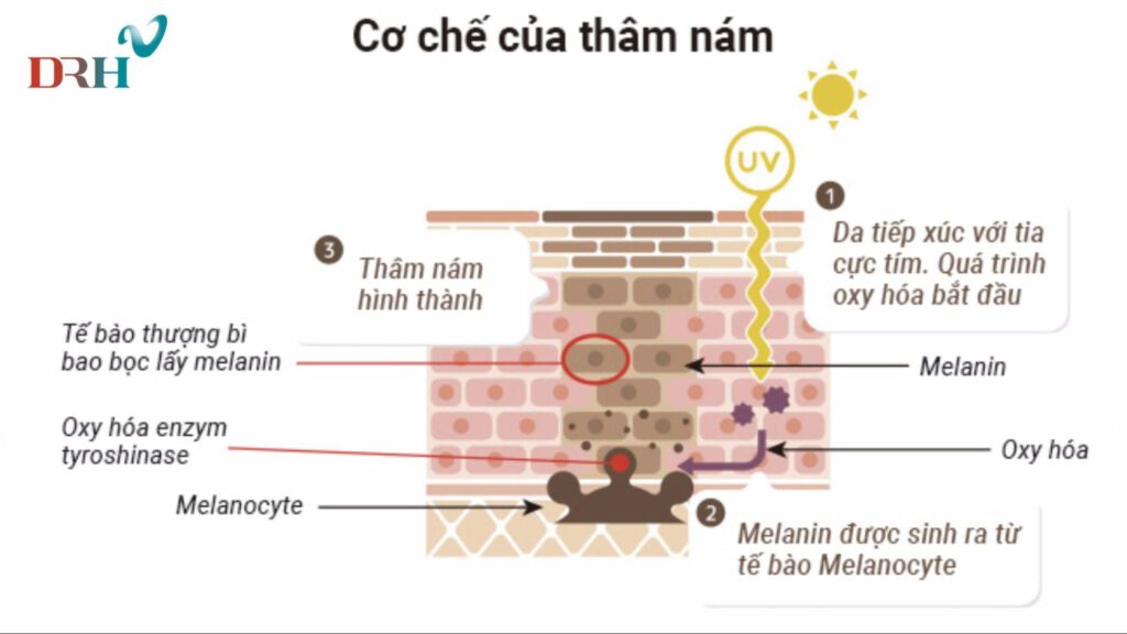 te-bao-goc-tri-nam-nao-tot-3