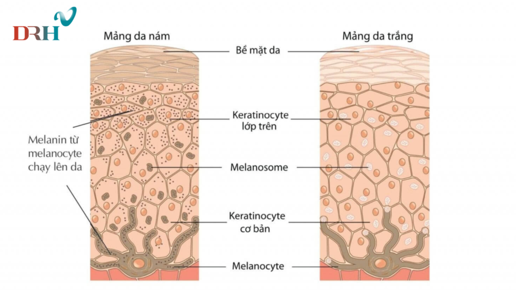 tri-nam-chuyen-sau-1