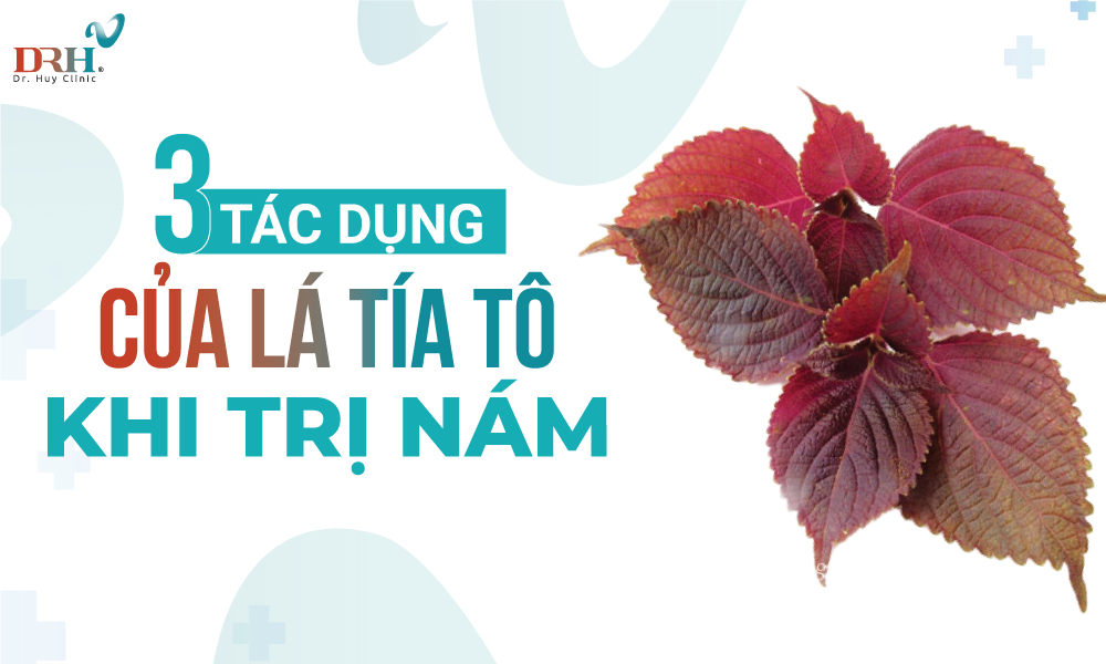 tri-nam-tai-nha-bang-la-tia-to