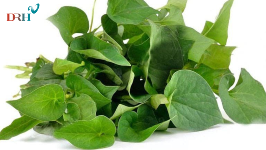 cach-tri-nam-dan-gian-tai-nha-1