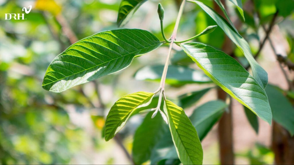 nen-bao-ve-da-bang-kem-chong-nang-khi-su-dung-la-oi