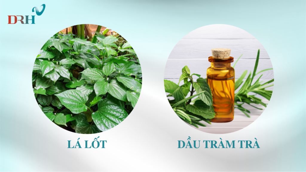 tang-cuong-de-khang-da-voi-la-lot-va-dau-tram-tra