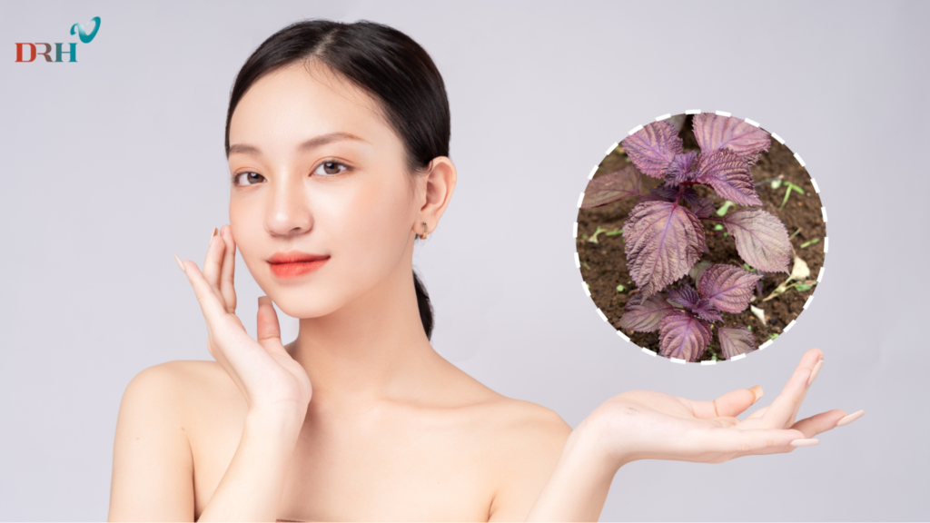 cong-thuc-tri-nam-bang-la-tia-to-1