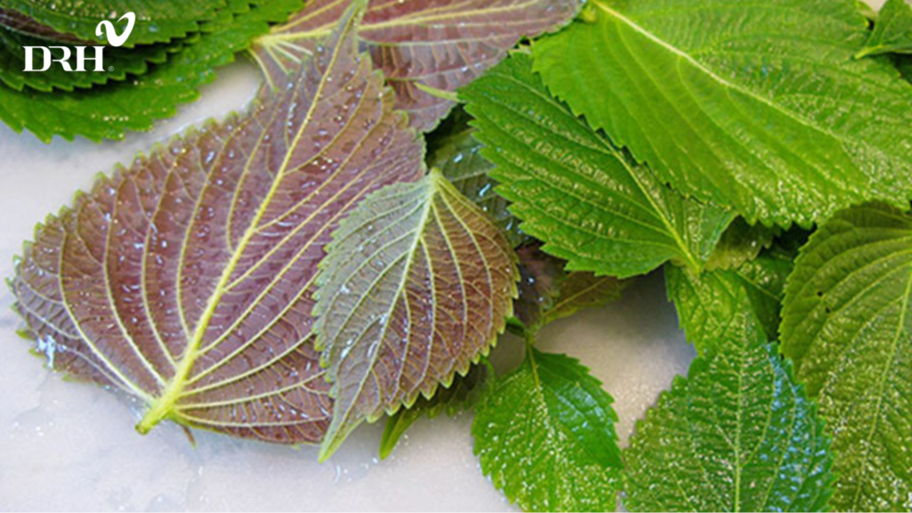 la-tia-to-co-tri-nam-duoc-khong-3