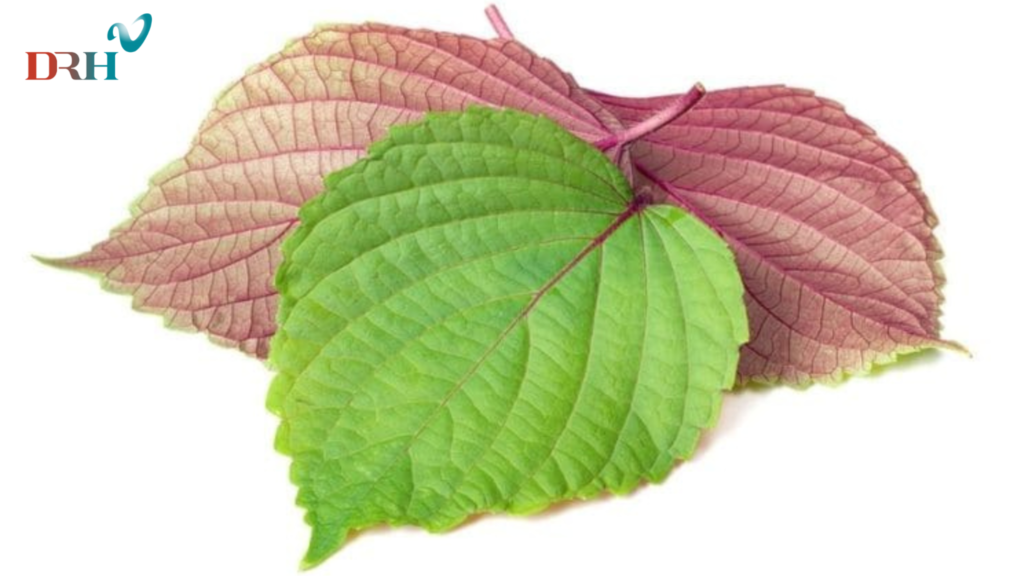 la-tia-tri-nam-bang-cach-nao-1